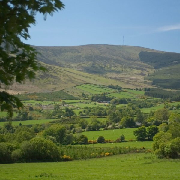Discovering the Beauty of Carlow: Exploring the Blackstairs Mountains and More